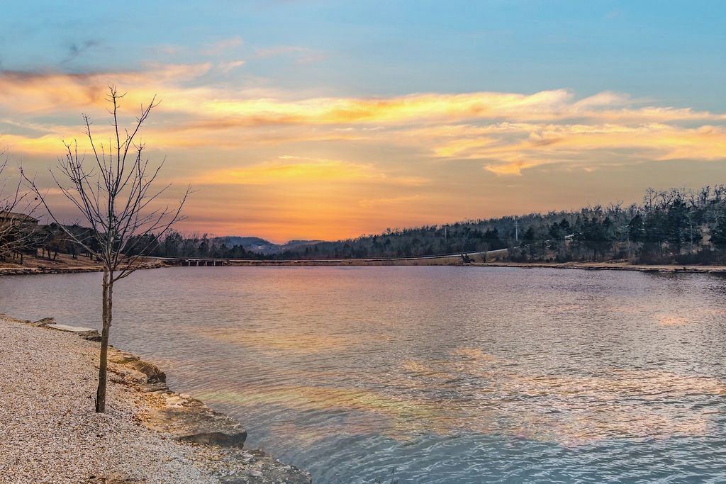 A serene lakeside view with a clear sky and a tree in the foreground.