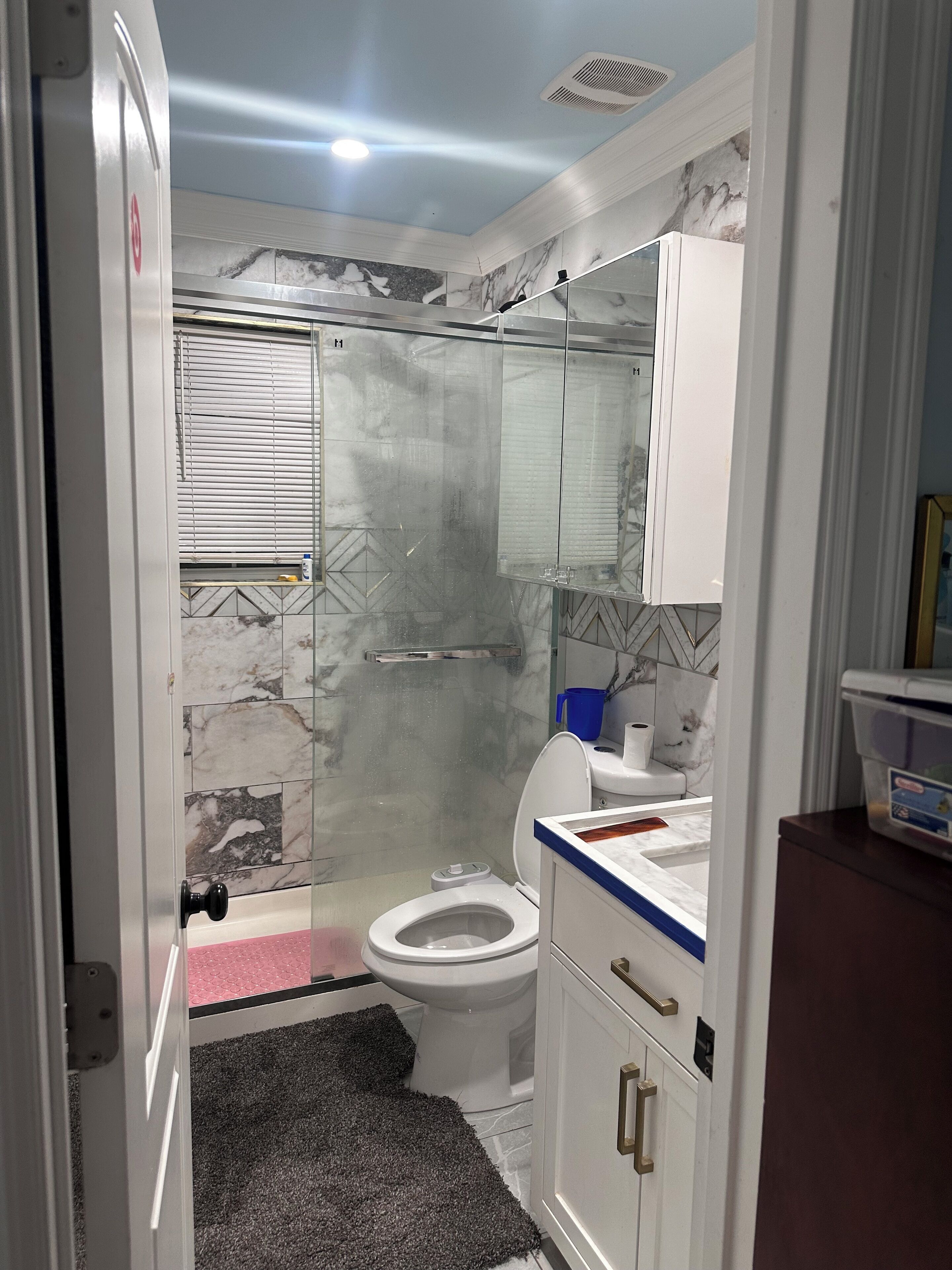 Shower, hair dryer, bidet, towels