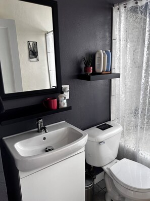 Hair dryer, towels, soap, toilet paper