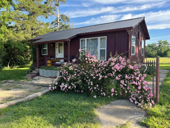 Exterior - Quiet & charming cabin with AC near Hamilton (Hamilton)