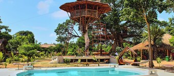 Treehouse bungalow built on a 500 yr old tree 1 br 1 bath w/ breathtaking views