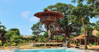 Treehouse bungalow built on a 500 yr old tree 1 br 1 bath w/ breathtaking views
