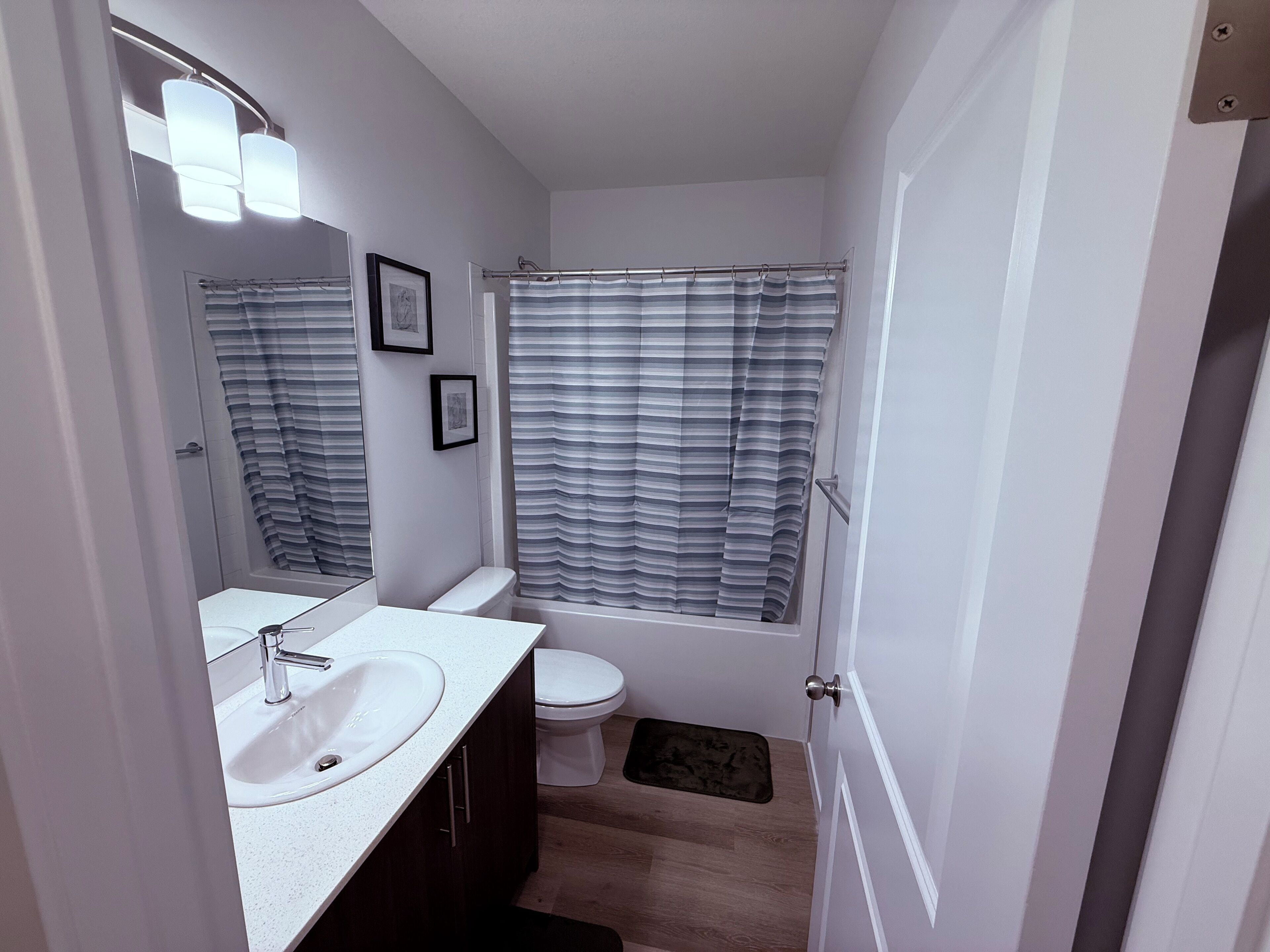 Hair dryer, towels, soap, toilet paper