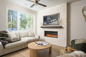 Smart TV, chimenea, libros y monitor de computadora 