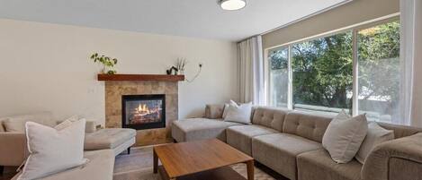 Smart TV, fireplace, computer monitors, printers