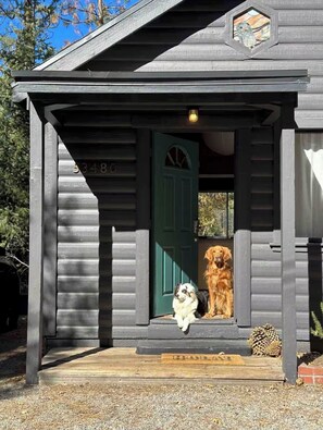 Exterior detail - Stellar Jay Cabin close to town in Idyllwild (Idyllwild-Pine Cove)
