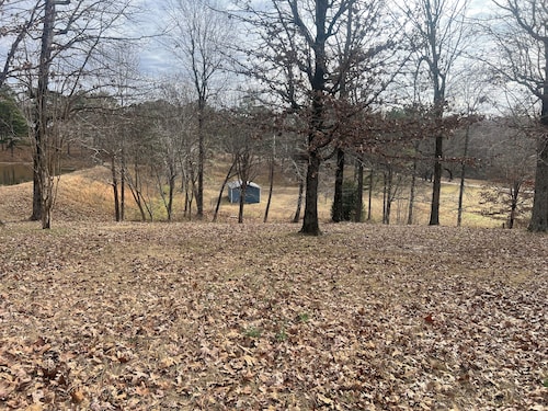 Gorgeous 2-bedroom cabin located in rural NE Arknasas perfect for getaways.