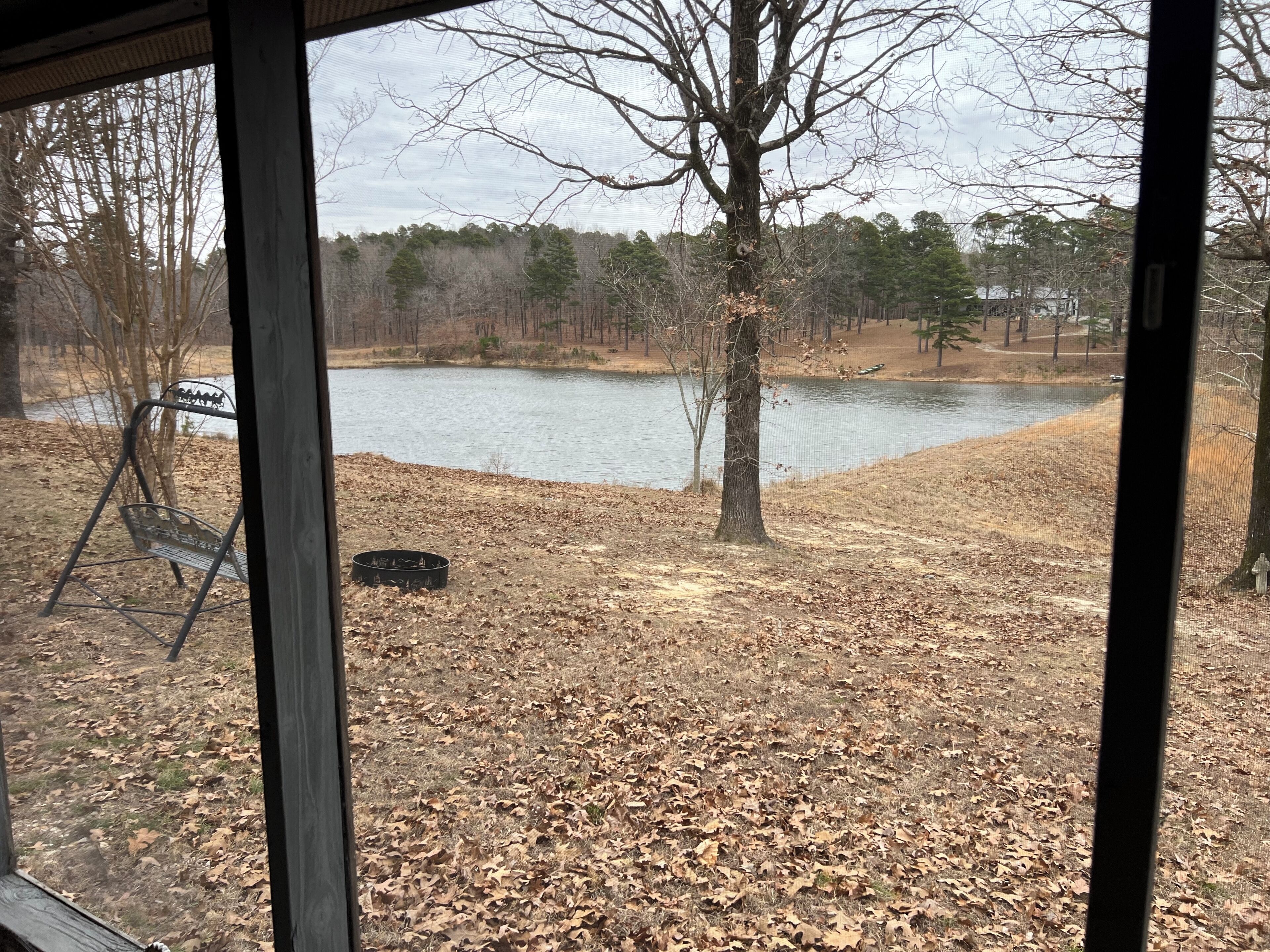 Vista de um lago com um banco e uma árvore ao primeiro plano, rodeado por folhas secas e uma floresta ao fundo.
