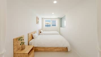 Basic Room, 1 Bedroom (Room 202 (Oceanview/Family/Spa)) | 1 bilik tidur, Wi-fi percuma