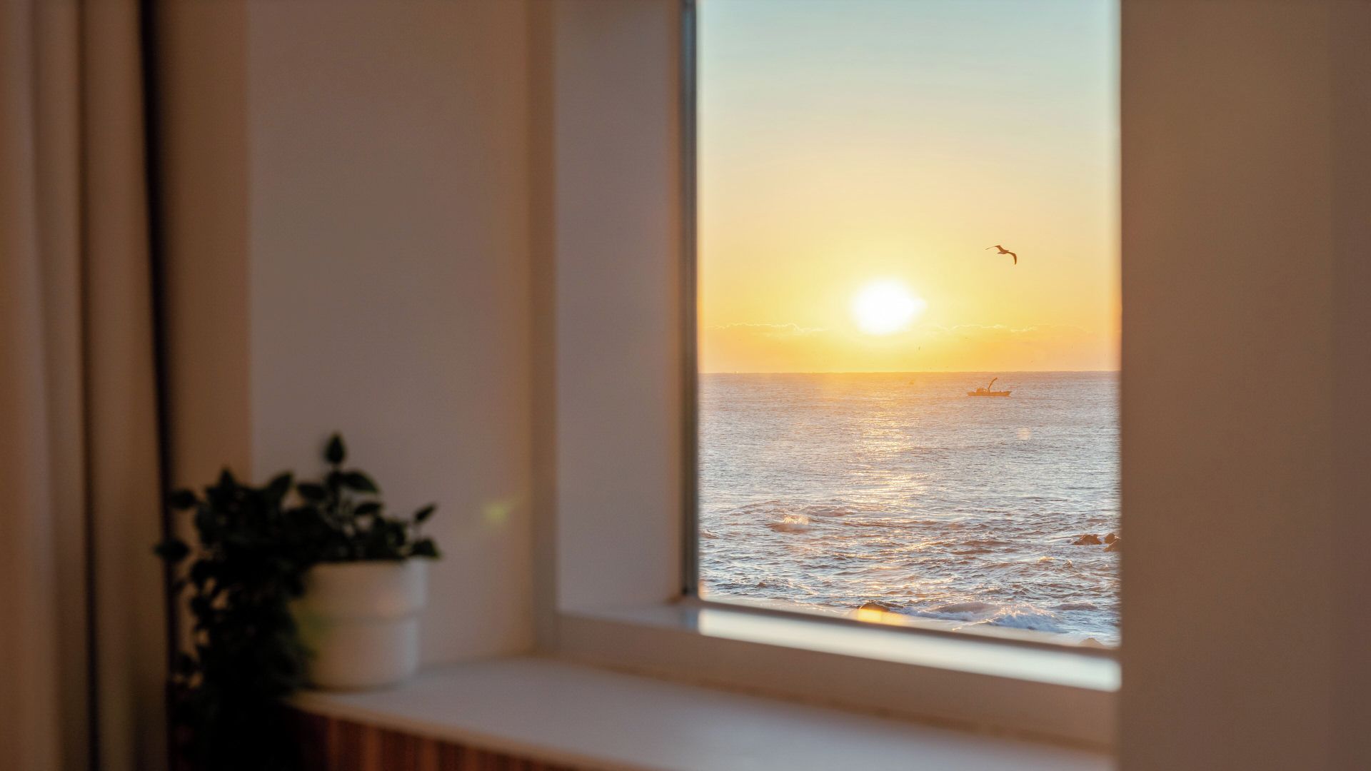 A window with a view of the sea at sunset, a potted plant on the windowsill, and a bird flying in the sky.