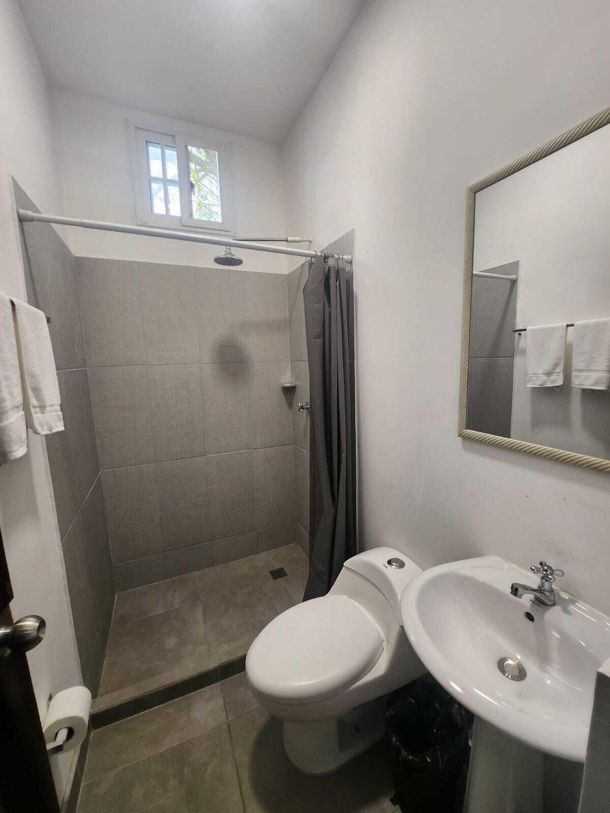 Un baño con ducha, inodoro y lavabo.