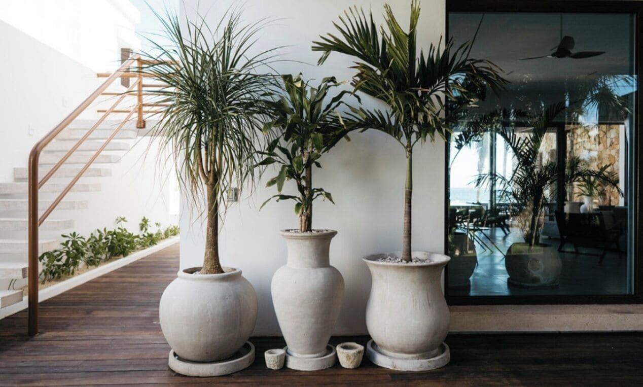 Entrada de la propiedad