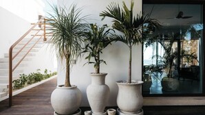 A modern building with a wooden staircase, large potted plants, and a glass door reflecting an outdoor area. - VILLAS MIA FRONT BEACH  (Xpu-Ha)