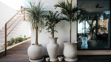 Entrada de la propiedad