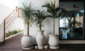 مدخل المنشأة