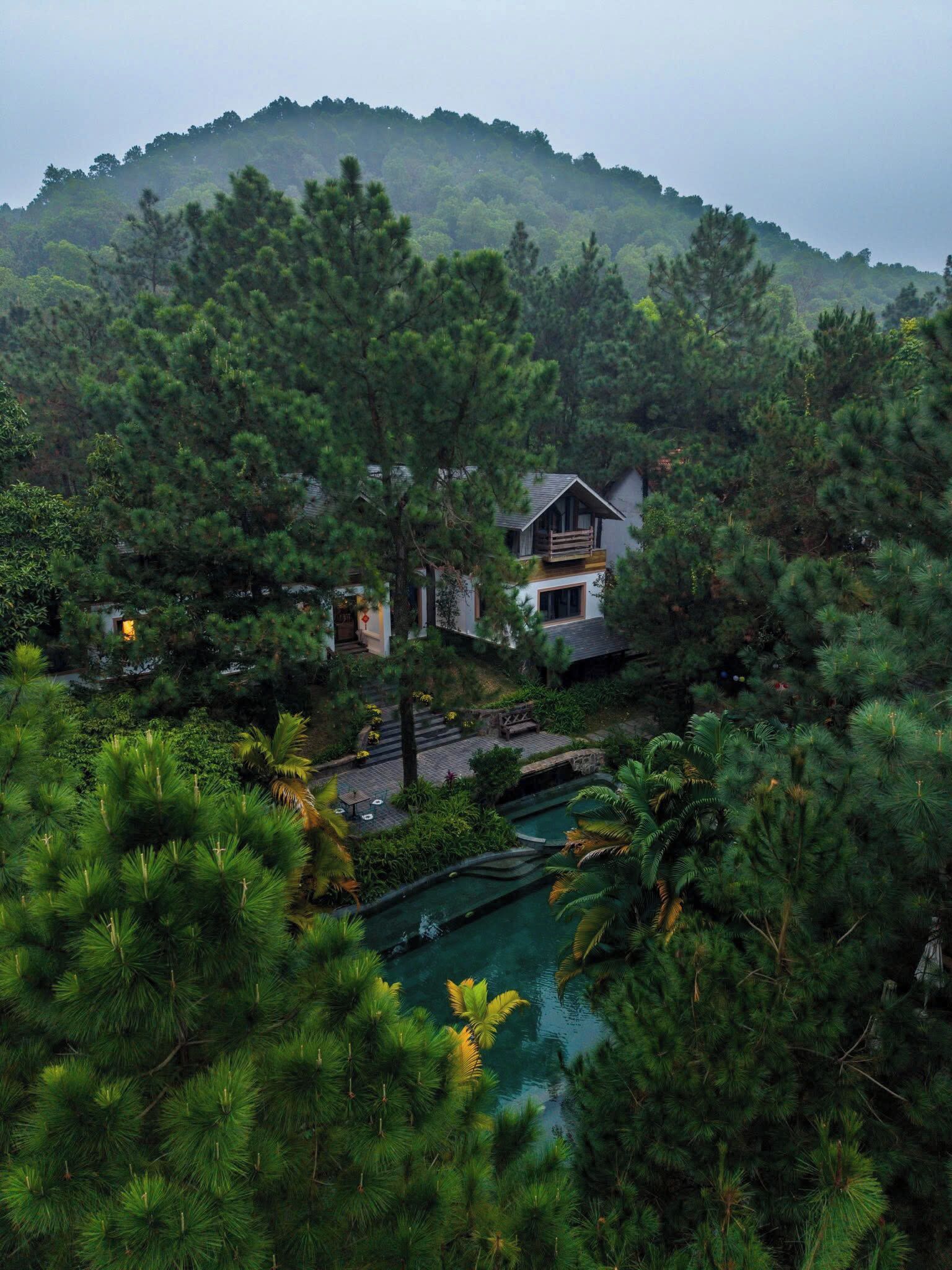 A house surrounded by dense forest with a small pool in the foreground.