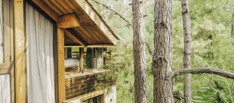 AMAYA Forest Retreat Hanoi – a Boutique Resort & Spa
