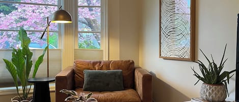 Smart-TV, Kamin, Computerbildschirme