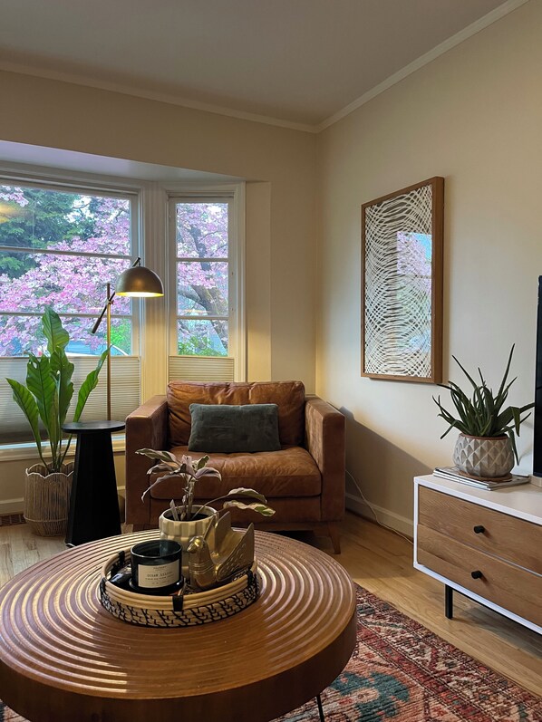 Smart TV, fireplace, computer monitors