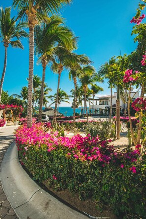 Property grounds - Casa Bellamar East Cape by The Agency Baja (SAN JOSE DEL CABO)