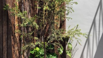 Garden Suites | Terrace/patio