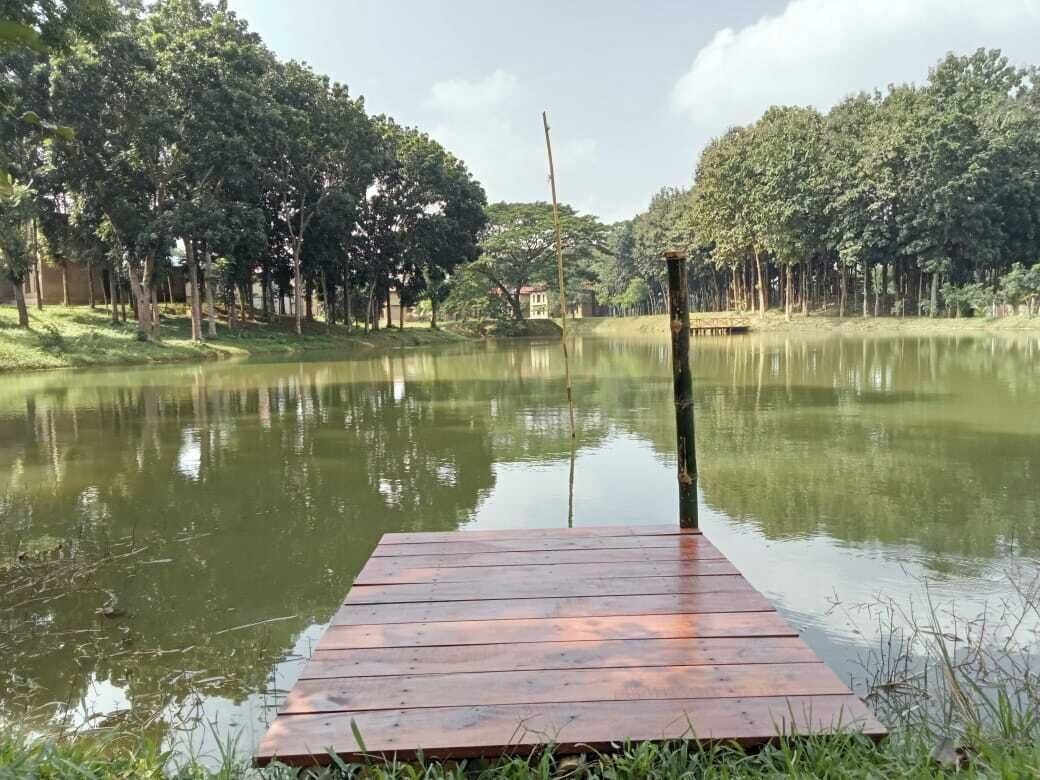 A wooden dock extending into a calm lake surrounded by trees.