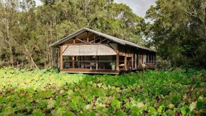 Une cabane en bois dotée d’un porche abrité, entourée d’un étang parsemé de nénuphars.