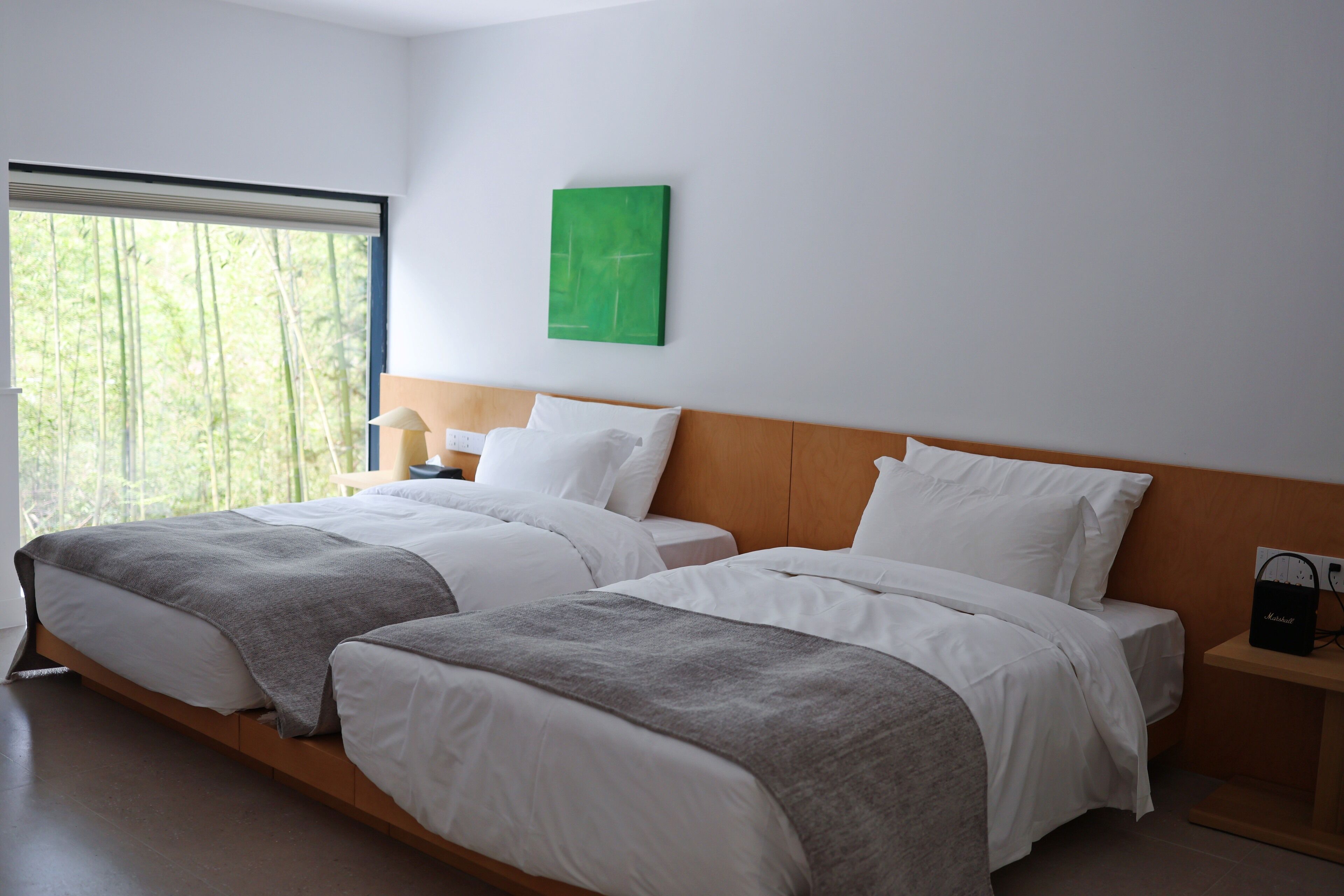 Cubrecamas, escritorio y espacio para trabajar con laptop 