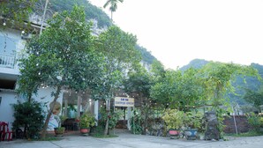 A courtyard with a sign for 'Cat Ba Countryside Homestay'. - Cat Ba Countryside Homestay (Hai Phong)