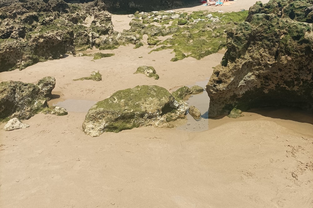 Reboleira