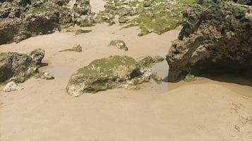 Beach nearby, white sand, beach shuttle, 6 beach bars