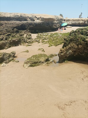 ใกล้ชายหาด, ทรายสีขาว, รถรับส่งชายหาด (คิดค่าบริการ), 6 บาร์ริมหาด