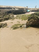 Beach nearby, white sand, beach shuttle, 6 beach bars