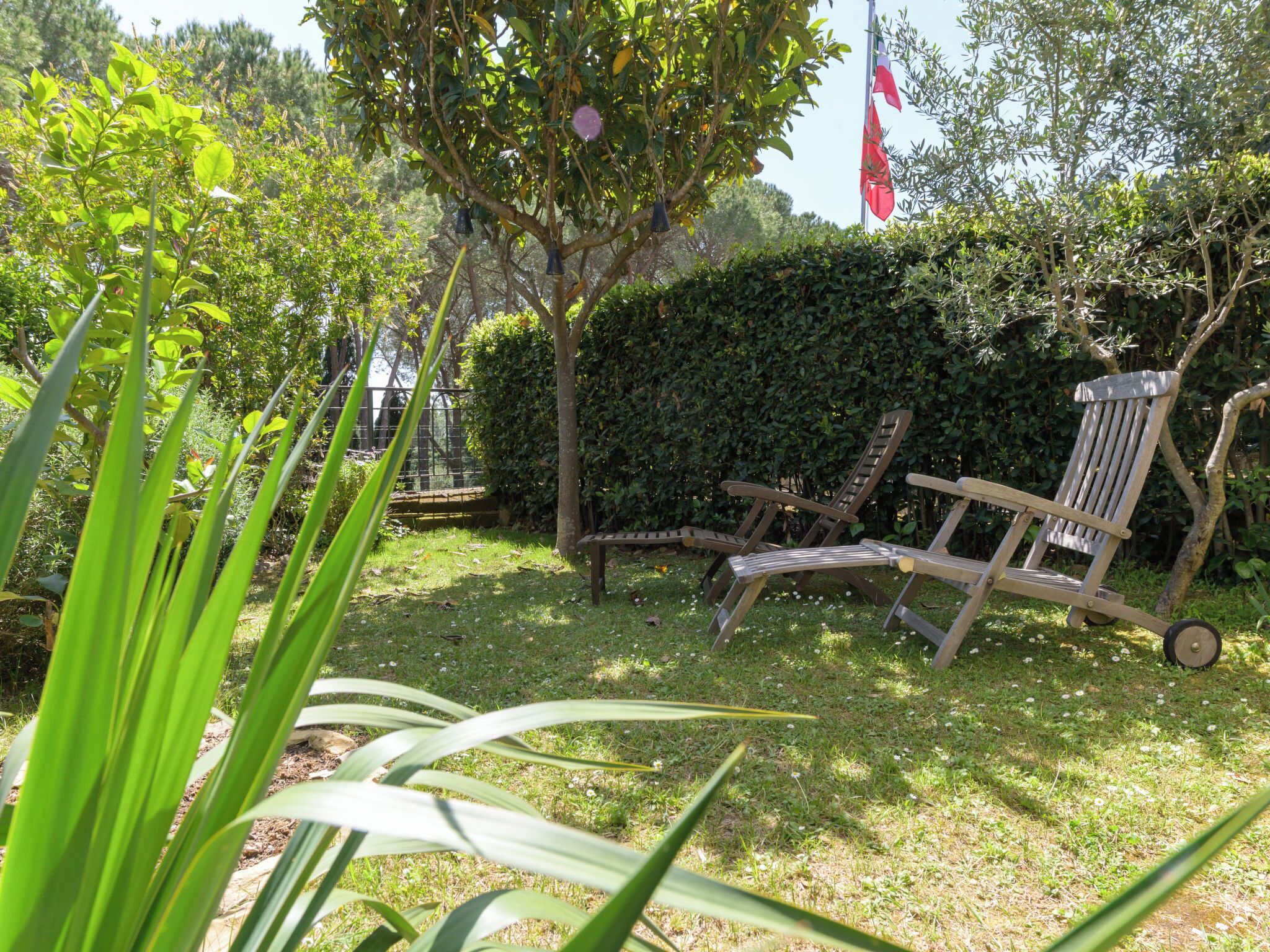 A garden with a bench, a tree, and a flag.