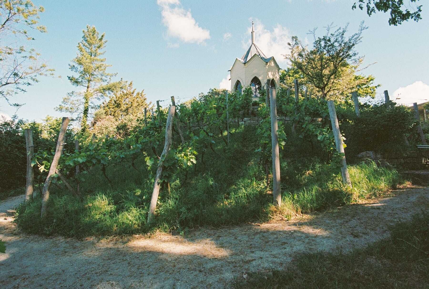 Un petit bâtiment isolé, doté d’un toit en pente, entouré d’une végétation dense et bordé d’un chemin de terre.