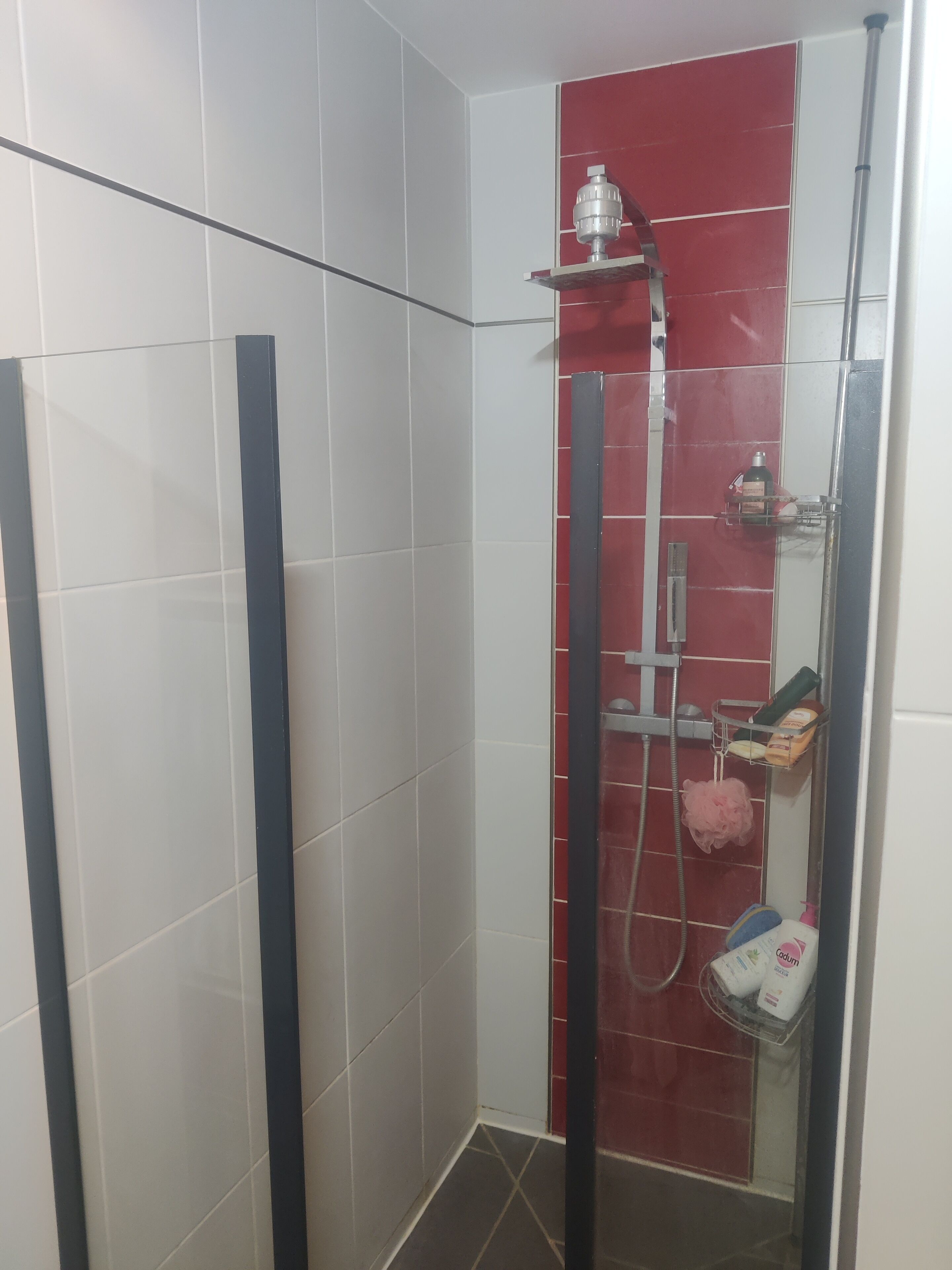 A shower area with a glass door, a red-tiled wall, and a shelf with toiletries.