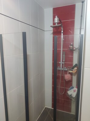 Secador de cabelo, toalhas de banho, sabonete, papel higiênico