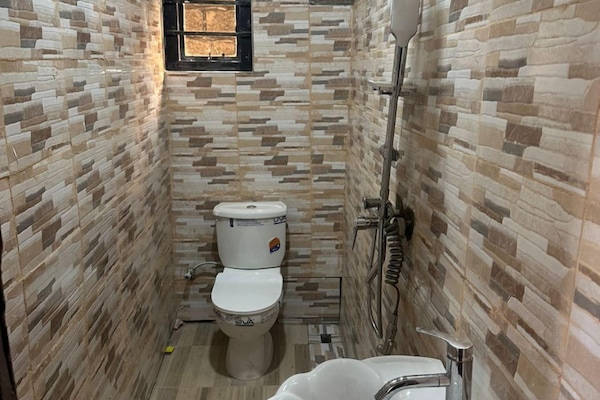Shower, towels, toilet paper