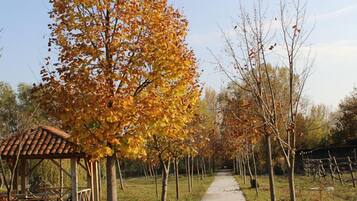 Area banquet outdoor