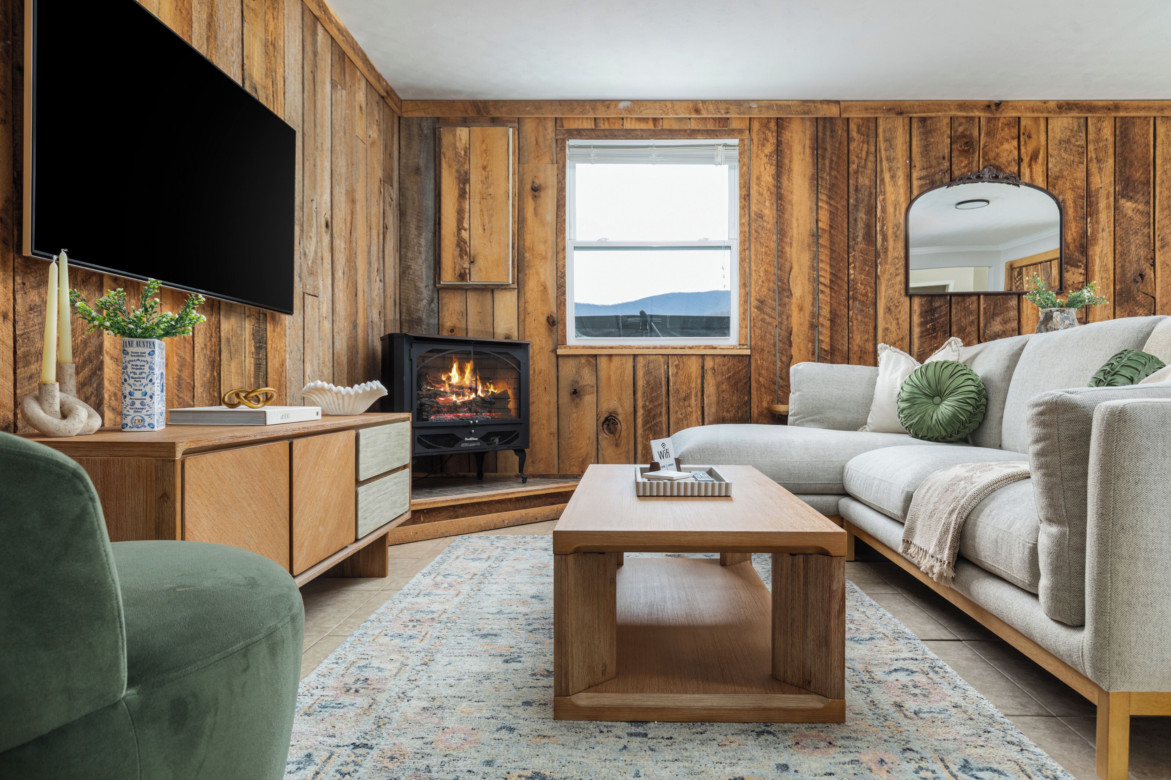 Smart TV, fireplace, books