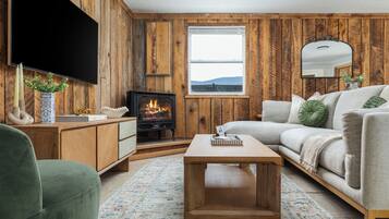 Smart TV, fireplace, books