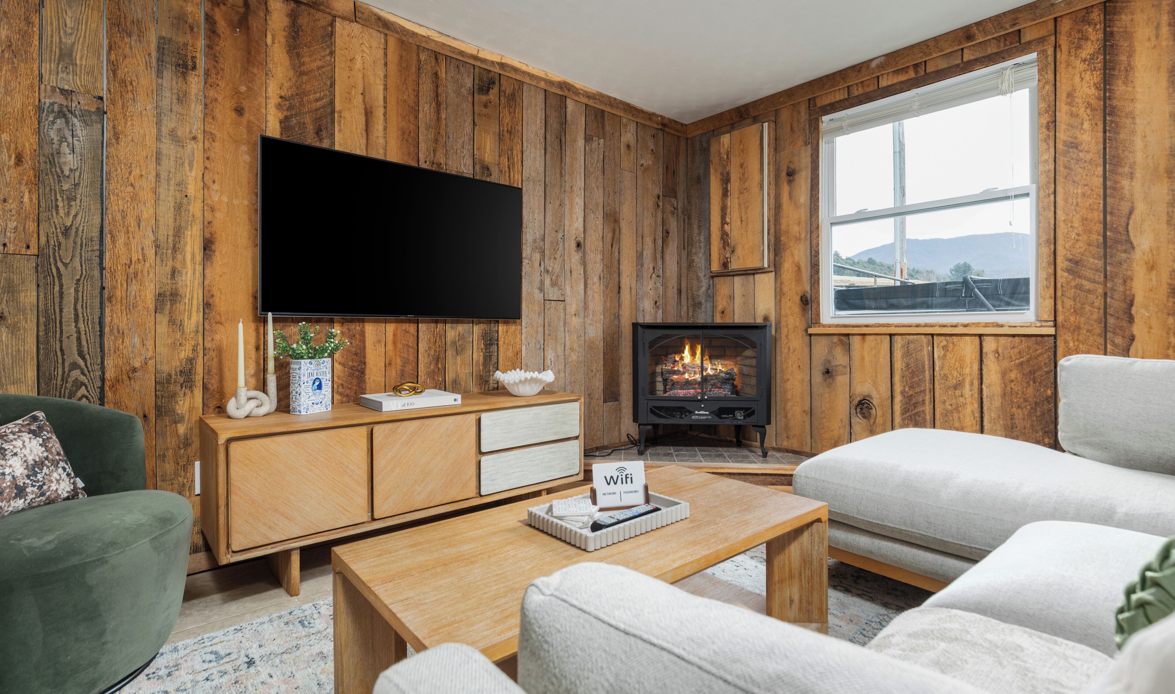 Smart TV, fireplace, books