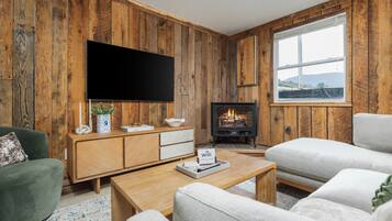 Smart TV, fireplace, books