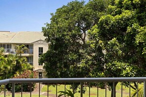 Property grounds - Palmway Burleigh Stay (Gold Coast)