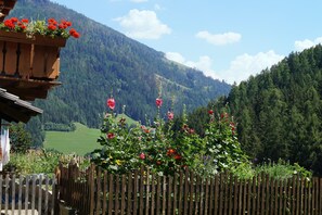 A wooden balcony with flowers, a wooden fence, and a mountainous backdrop. - Traditional Apartment "Waldstille" in Idyllic Nature, Balcony and Wi-Fi (San Lorenzo di Sebato)