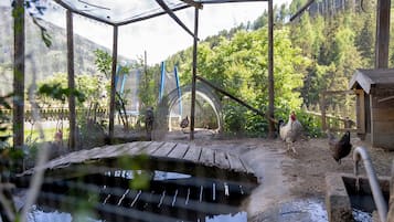 Enceinte de l’hébergement
