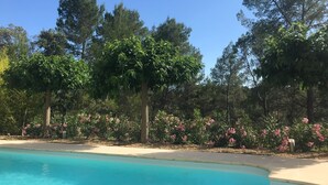 A swimming pool surrounded by trees and flowering shrubs. - Magnificent villa with private pool in a quiet location (vidauban)