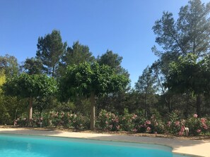 Pool - Magnificent villa with private pool in a quiet location (vidauban)
