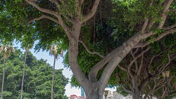 Mobile Home | Property grounds