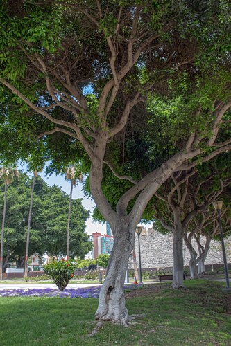 Apartment in Las Palmas Near Playa de Las Canteras